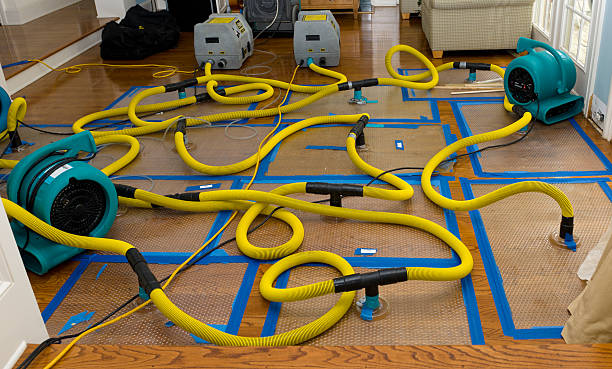 Professional Water Damage Repair technician working in Lost Hills, CA